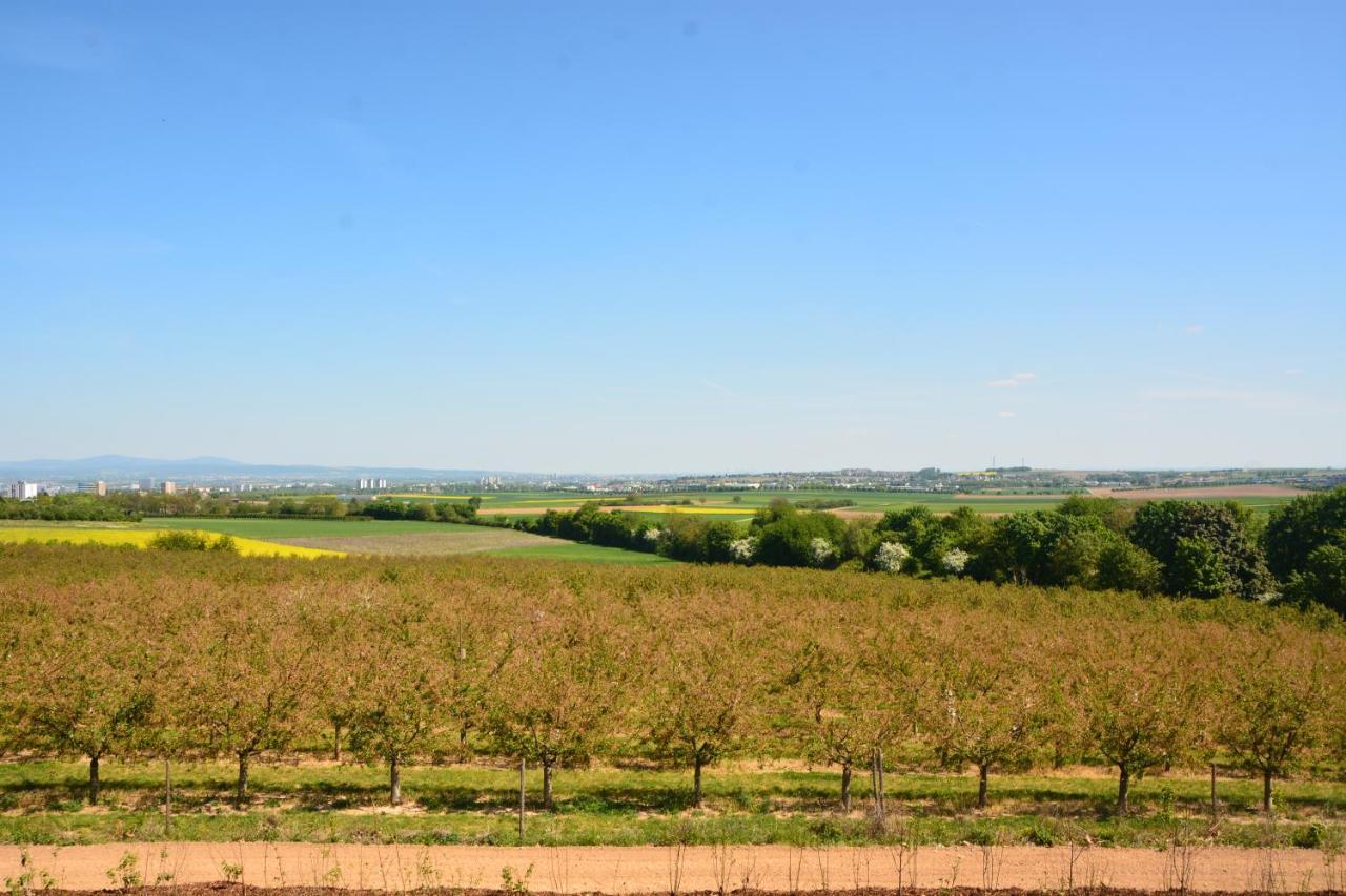 Weingut Bugner Meizelhof Klein-Winternheim Екстериор снимка